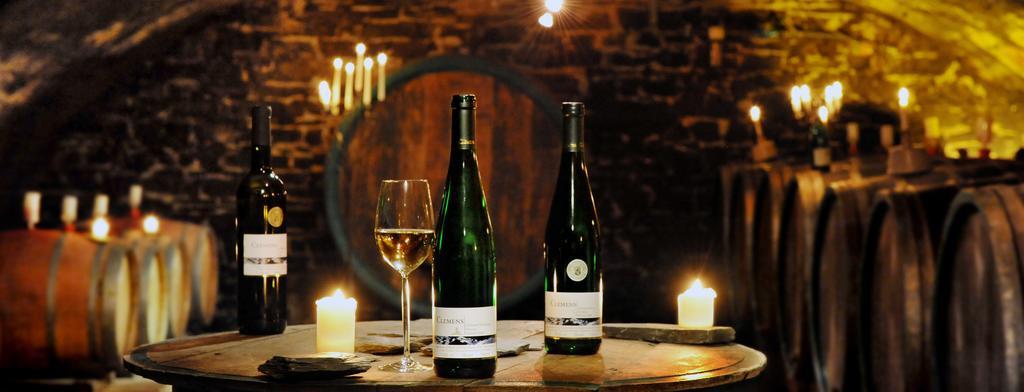 Отель Weingut Clemens Элленц-Польтерсдорф Экстерьер фото